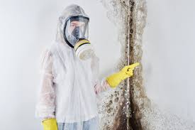 Professional Mold Removal in Franklin Lakes, NJ